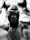 Wie wil sex date?, foto 1920x2560, 4 reacties, 14 stemmen