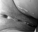 Wit/zwart sex, foto 692x591, 2 reacties, 13 stemmen