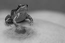 Wrok...., foto 1465x977, 4 reacties, 14 stemmen