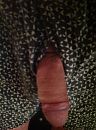 X, foto 1936x2592, 8 reacties, 44 stemmen