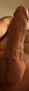 X, foto 1012x3088, 0 reacties, 0 stemmen