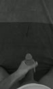 Zaad weer kwijt, film 00:00:00, 4 reacties, 14 stemmen