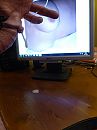 Zaad!, foto 1920x2560, 0 reacties, 2 stemmen