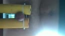 Zaad, film 00:00:00, 3 reacties, 11 stemmen