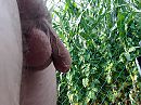 Zalig, foto 4000x3000, 0 reacties, 1 stemmen
