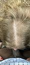 Ze heeft 2 nodig, foto 1125x2436, 1 reacties, 25 stemmen