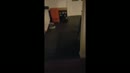 Zo lekker, film 00:00:00, 28 reacties, 131 stemmen