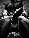 Zoek sex date, foto 240x320, 3 reacties, 12 stemmen