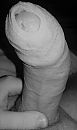 Zwart wit, foto 427x718, 0 reacties, 0 stemmen