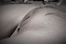 ..., foto 1271x862, 22 reacties, 115 stemmen