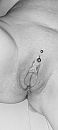 ......, foto 691x1536, 8 reacties, 34 stemmen