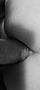 ........., foto 1801x4000, 2 reacties, 16 stemmen