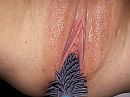 ., foto 4000x3000, 2 reacties, 19 stemmen