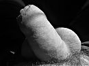..., foto 2592x1944, 0 reacties, 2 stemmen