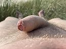 ., foto 4000x3000, 1 reacties, 2 stemmen