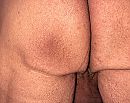..., foto 1881x1500, 0 reacties, 1 stemmen