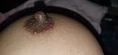 ..., foto 4000x1892, 4 reacties, 43 stemmen