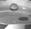 aaa, film 00:00:06, 1 reacties, 2 stemmen
