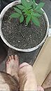 aan het tuinieren geweest…., foto 750x1334, 6 reacties, 13 stemmen