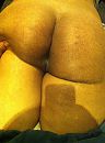 billen, foto 1936x2592, 9 reacties, 45 stemmen