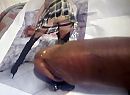 black cock cum tribute, foto 2280x1680, 2 reacties, 20 stemmen