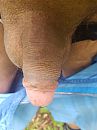 bos, foto 3000x4000, 4 reacties, 5 stemmen