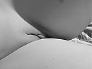 braafjes, foto 4000x3000, 9 reacties, 44 stemmen