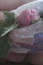brandnetels, foto 560x840, 1 reacties, 3 stemmen