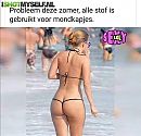 corona, foto 550x529, 7 reacties, 24 stemmen
