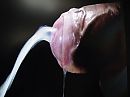 creamy, foto 2048x1536, 2 reacties, 4 stemmen