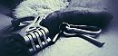 cuffs....., foto 3924x1893, 0 reacties, 2 stemmen