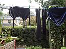 de buren laten genieten, foto 550x412, 4 reacties, 15 stemmen