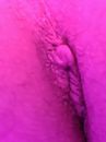 dit geile kontje is in voor, foto 727x969, 3 reacties, 14 stemmen