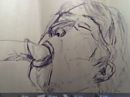 eigen tekening,, foto 960x720, 2 reacties, 10 stemmen