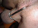 esib, foto 640x480, 3 reacties, 8 stemmen
