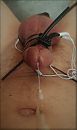 estim cumhot, foto 405x677, 2 reacties, 9 stemmen