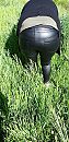 fff kiekn, foto 1944x4000, 12 reacties, 61 stemmen