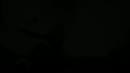 DP filmpje, film 00:00:00, 77 reacties, 273 stemmen
