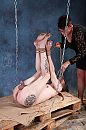 fotoshoot, foto 1600x2400, 1 reacties, 13 stemmen