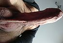 geile dinsdagavond, foto 804x552, 1 reacties, 9 stemmen