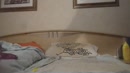 geilen in m'n olie kut,mm, film 00:00:00, 1 reacties, 4 stemmen