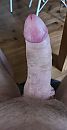 gereedschap, foto 1713x3281, 4 reacties, 7 stemmen