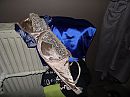 gevonden kleding !!, foto 4000x3000, 5 reacties, 8 stemmen