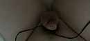 goed afgebonden, foto 1920x888, 0 reacties, 8 stemmen
