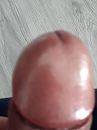 grote eikel, foto 1200x1599, 1 reacties, 6 stemmen