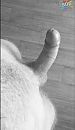hard en zin, foto 742x1280, 0 reacties, 3 stemmen