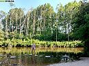 heerlijk het water in!, foto 1333x1000, 0 reacties, 13 stemmen
