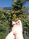 het kan weer, foto 3000x4000, 6 reacties, 22 stemmen