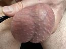 hete ballen geen oliebol, foto 4000x3000, 2 reacties, 3 stemmen