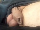 hi, foto 360x270, 2 reacties, 10 stemmen